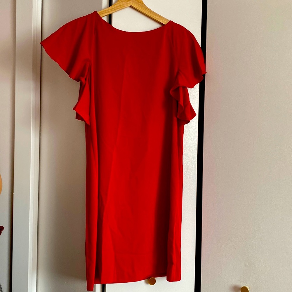 Zara Shift Dress